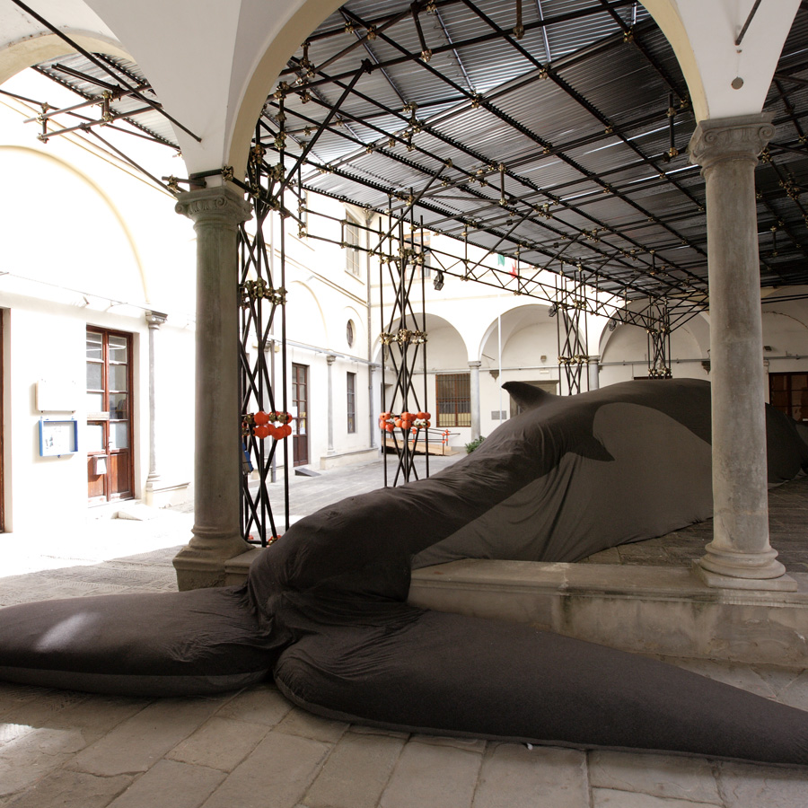 Balena Project _Florence