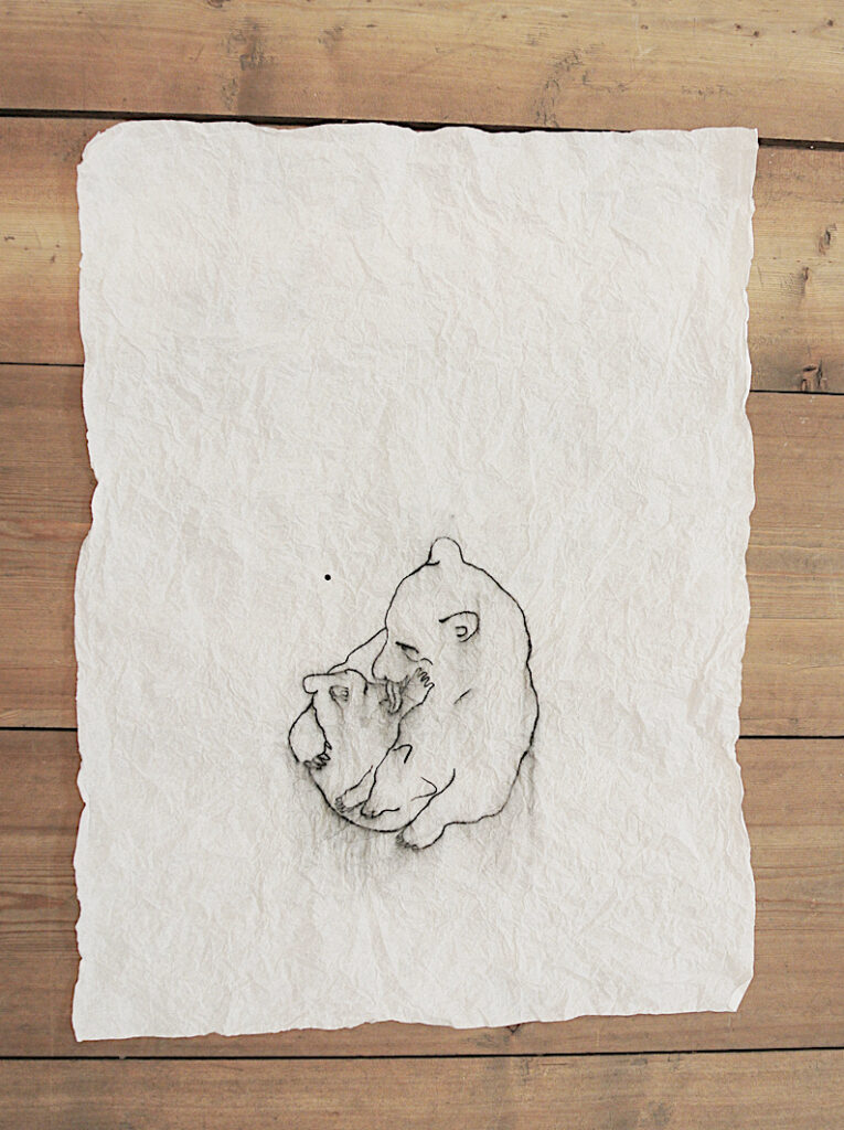Biotopes_drawing2