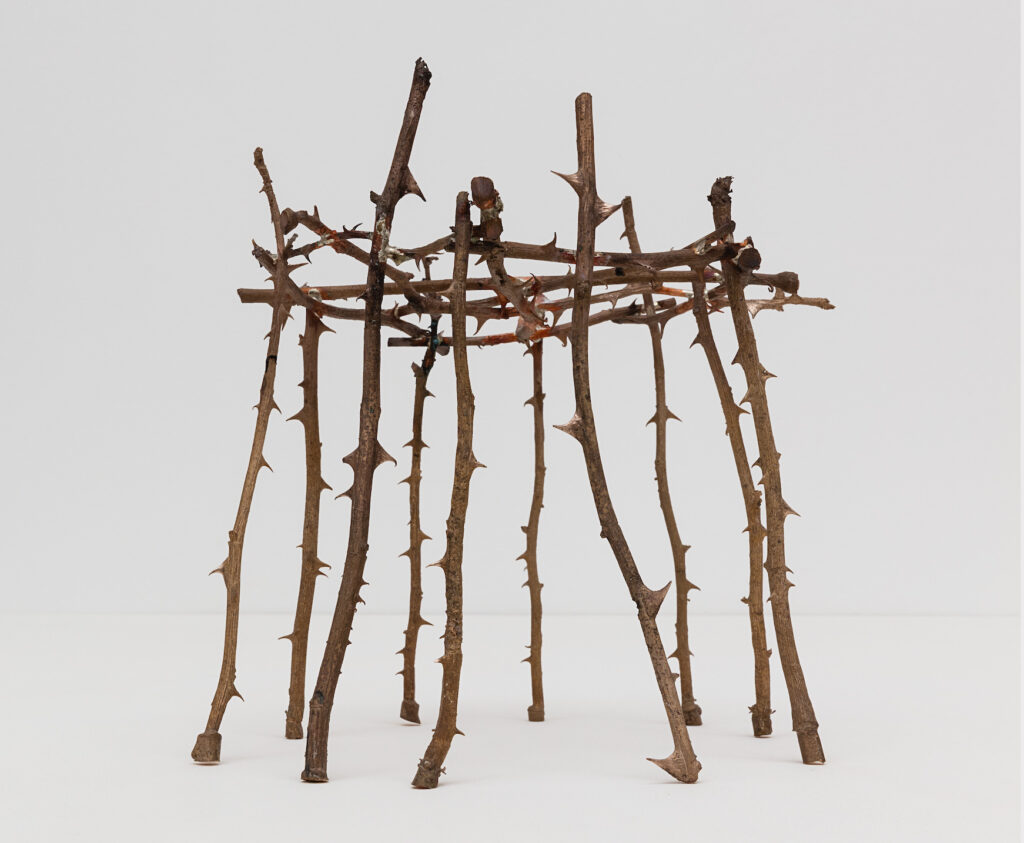 Schermata-2023-08-10-alle-12.49.03