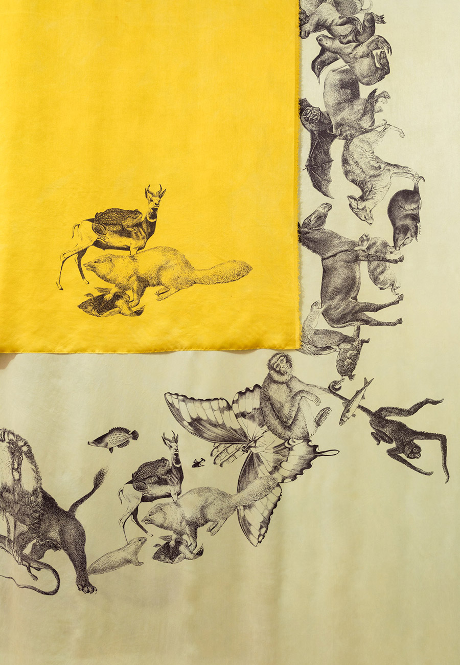 Untitled Animals