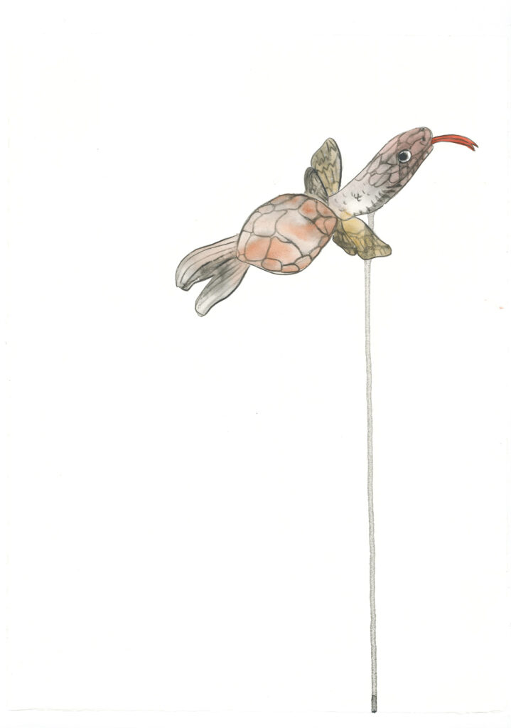 11