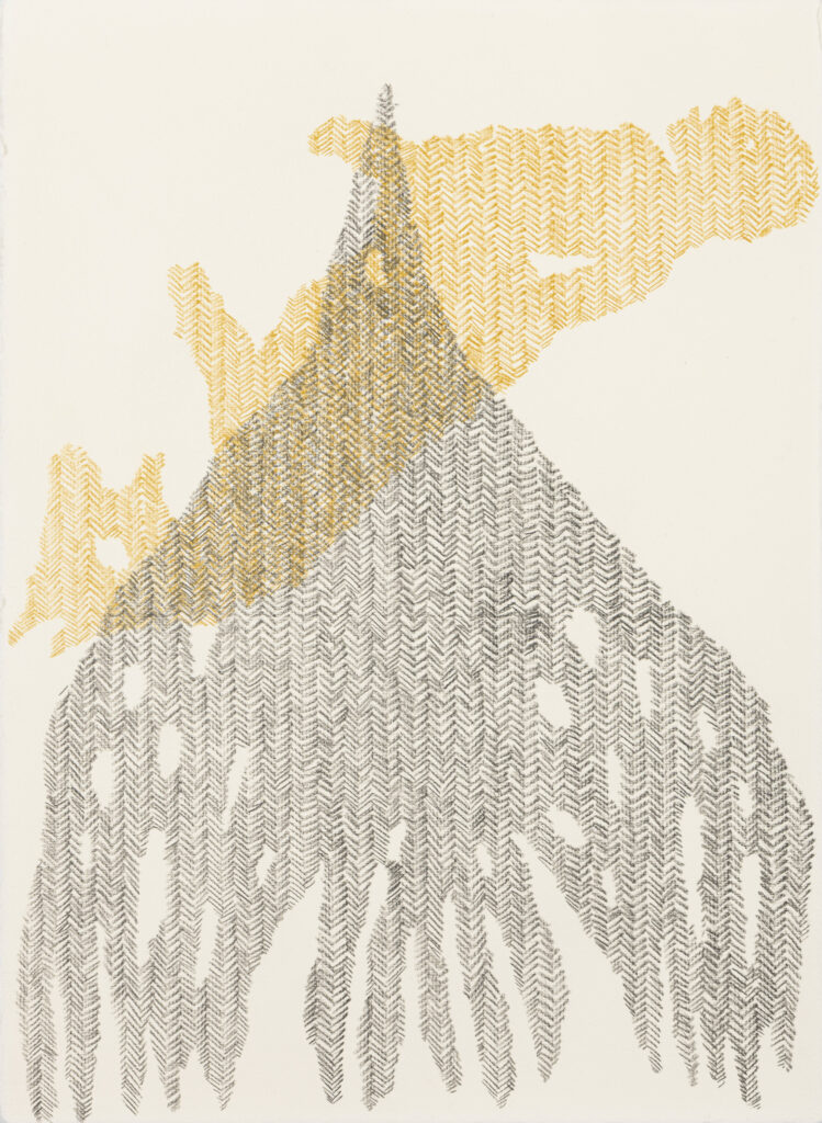4N3A6444
